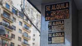 arteles de 'Se alquila' pegados en un edificio en Madrid.