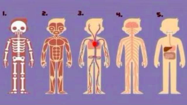 ¿Con qué parte del cuerpo te identificas más?