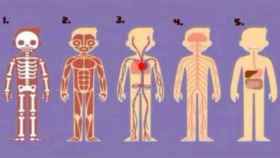 ¿Con qué parte del cuerpo te identificas más?
