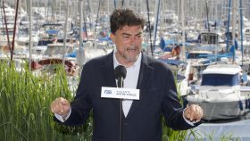 El candidato del PP de Alicante, Luis Barcala, durante la campaña electoral.