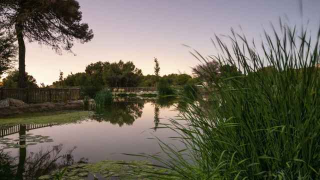 Laguna naturalizada en el parque de El Recorral, en Alicante.