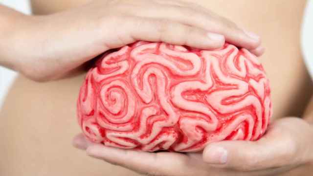 El intestino es el segundo cerebro. Foto: iStock.