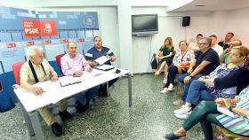 Ana Barceló en la Ejecutiva del PSOE que la nombra portavoz municipal en Alicante.