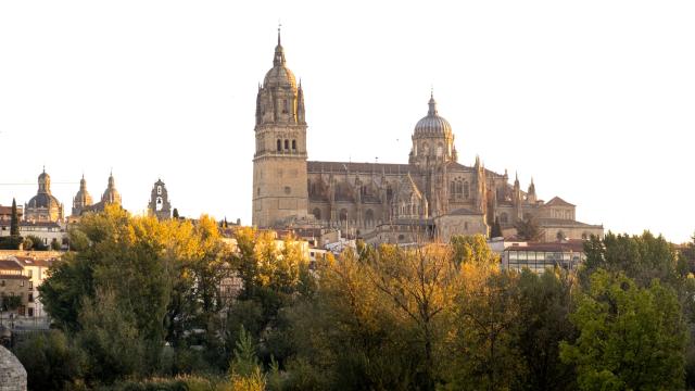 Imagen de archivo de la Catedral de Salamanca