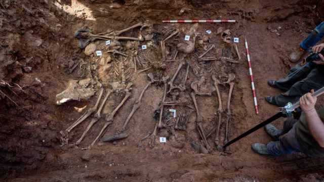 Exhumación de fusilados en el cementerio de Las Casas (Soria)