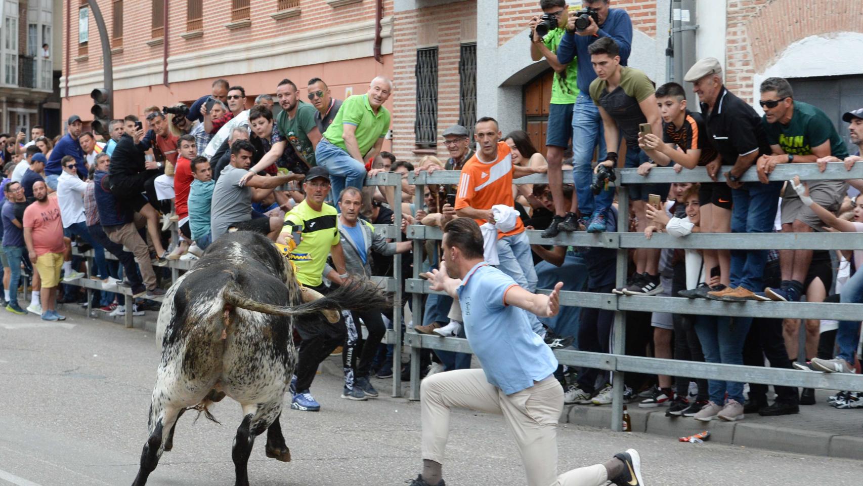Medina del Campo llena sus calles y plaza de toros a pesar de la lluvia