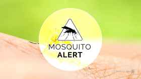 La app para notificar picaduras de mosquitos y así crear un mapa de su presencia en España