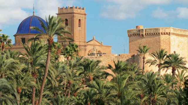La basílica de Santa María, donde se celebra el Misteri, rodada de palmeras.