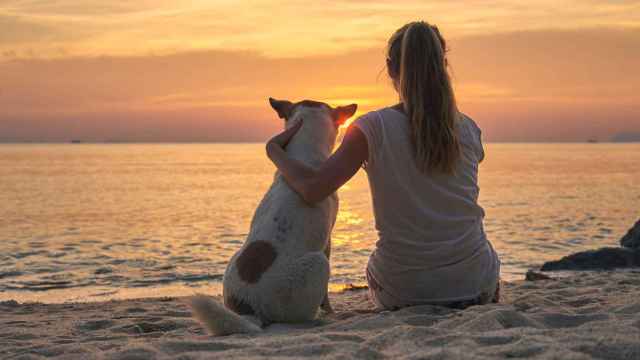 Una chica y su perro descansan en la playa, en una imagen de archivo.