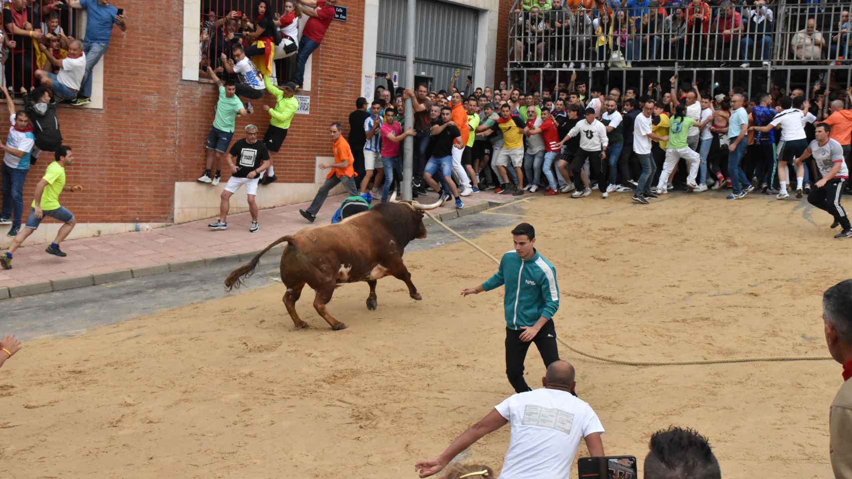 Fiestas del Toro Enmaromado 2023 en Benavente