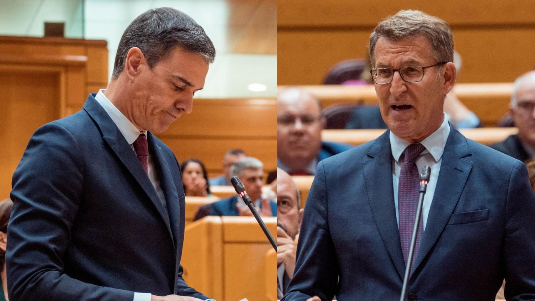 Pedro Sánchez, presidente del Gobierno, y Alberto Núñez Feijóo, presidente del PP, en el Senado.