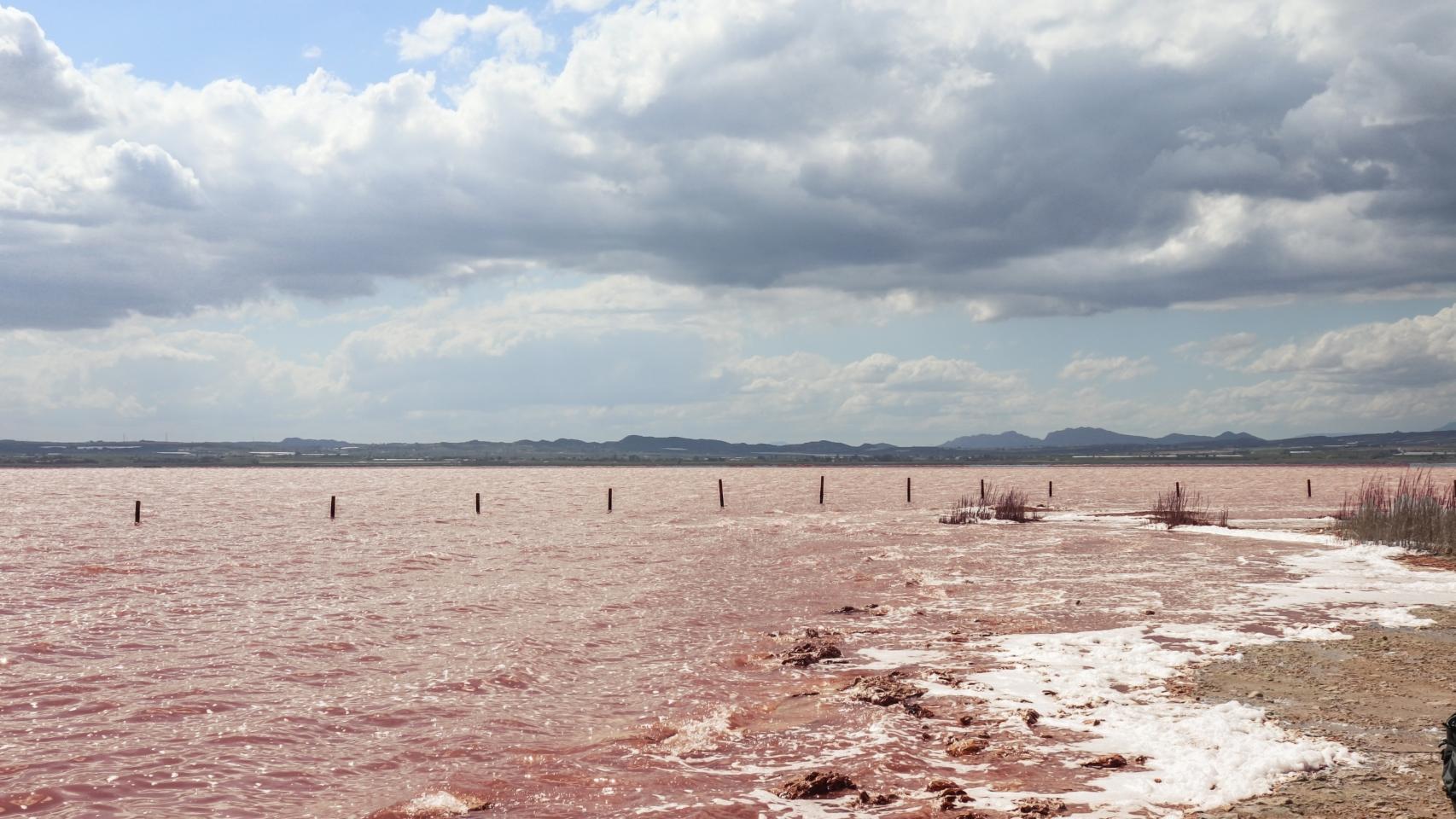 Salinas, laguna rosa.