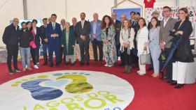 Fiesta de la Cereza de Alfândega da Fé 2023