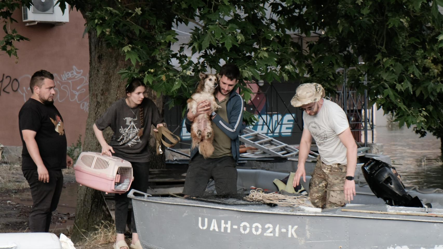 UAnimals evacuation work in Kherson.