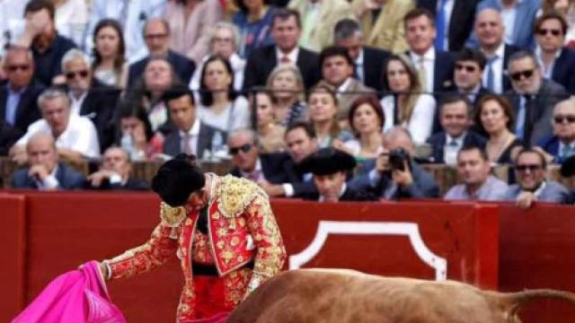 Corrida de toros en Zamora