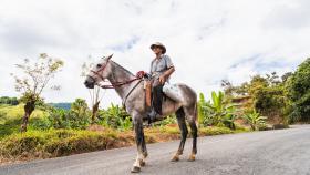 Los nicoyanos tienen un 29% de probabilidades de morir que el resto de costarricenses al cumplir los 60 años.