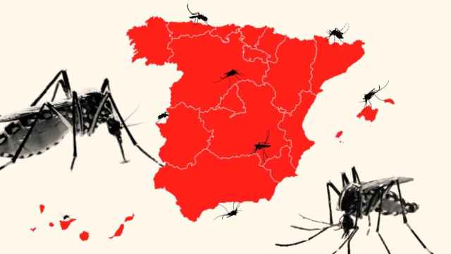 El mapa de los mosquitos en España.