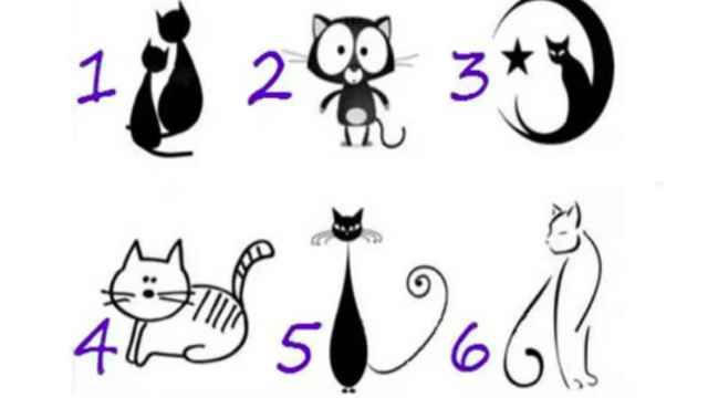 Elige uno de estos seis gatos.