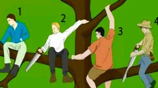 ¿Cuál de ellos crees que es el más inteligente?