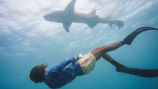 Charlie Sarria nadando entre tiburones.