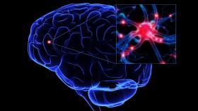 Representación del funcionamiento de las neuronas.