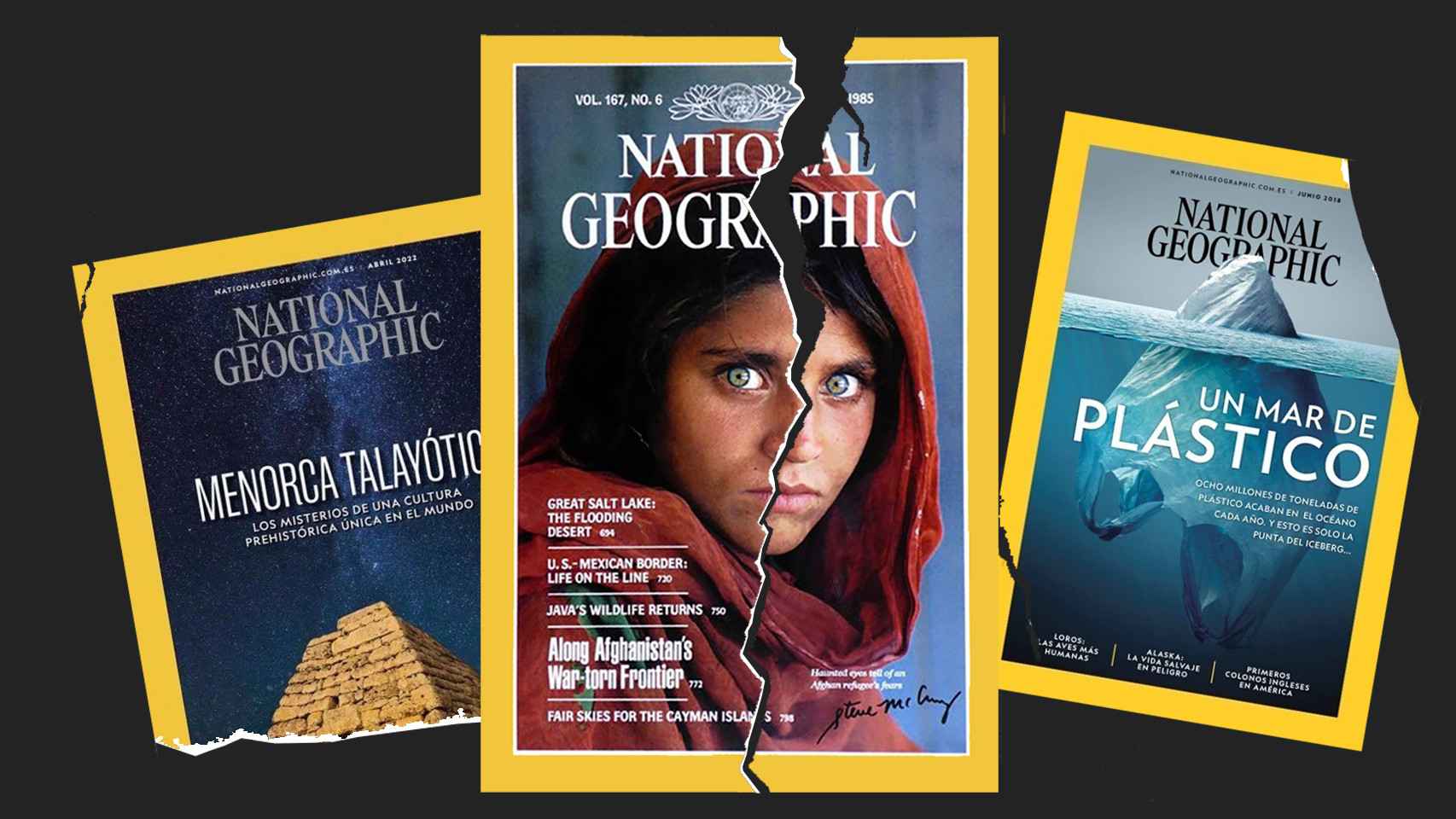 El ocaso de National Geographic: el club de la élite científica que la Fox  ha terminado