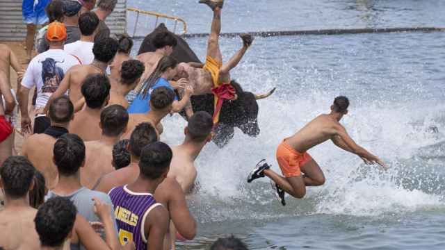 Varias personas saltan al agua durante la celebración en Dénia de los 'Bous a la Mar', este domingo.