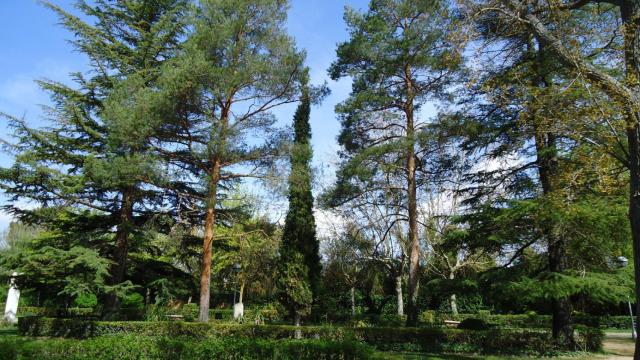 Parque de La Arboleda, en Almazán.