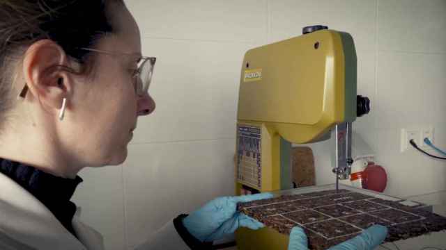 Pilar Muñoz, técnico del área de Materiales, Adhesión y Polímeros del CETEM, fabricando un tablero en el laboratorio.