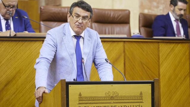 El diputado de Vox Rafael Segovia durante su intervención en el Parlamento andaluz.