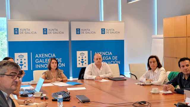 La directora de la GAIN, Patricia Argerey, preside el Consejo Asesor de I+D+i de Galicia en el que se debatió la ley.