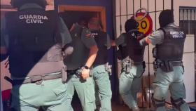 Golpe en Albacete a una banda dedicada a la marihuana y a las peleas ilegales de gallos