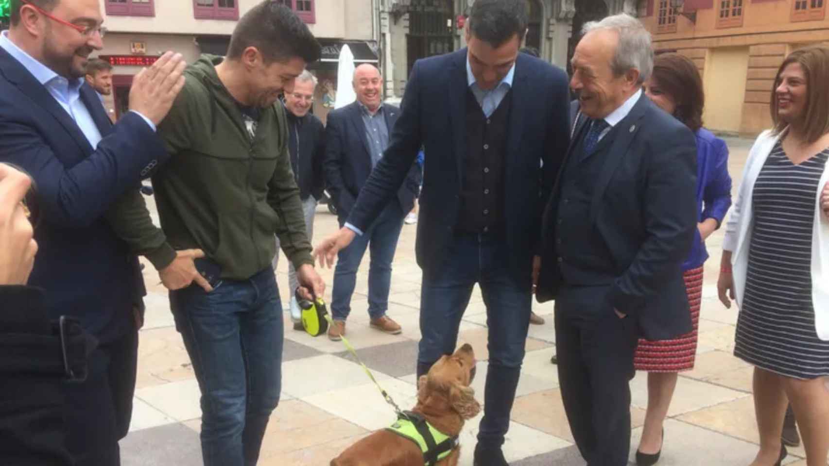 El perro llamado Pedro saluda a Pedro Sánchez en Oviedo, en mayo de 2019.