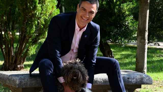 Pedro Sánchez, con su amigo canino.