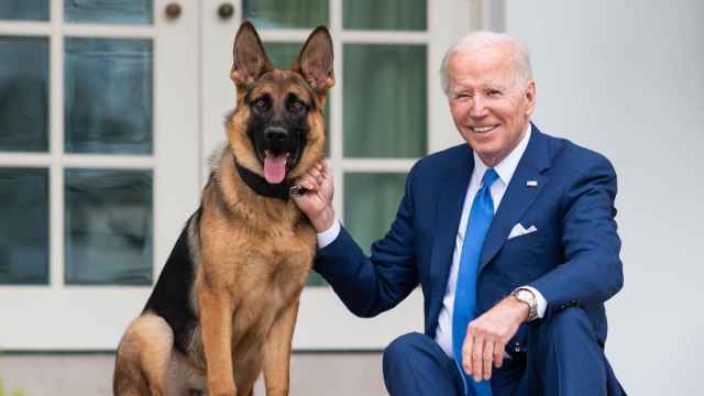 Joe Biden, junto con su perro