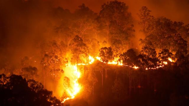 Así afectan los incendios forestales a tu salud y al medio ambiente