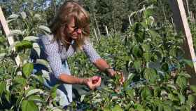 Una mujer observa sus cultivos en Soria