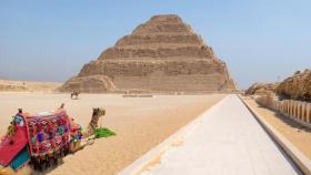 Un camello junto a las pirámides de Egipto