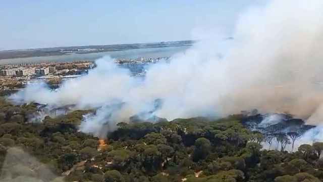 Un incendio en la localidad gaditana de Puerto Real Cádiz obliga a desalojar varias viviendas