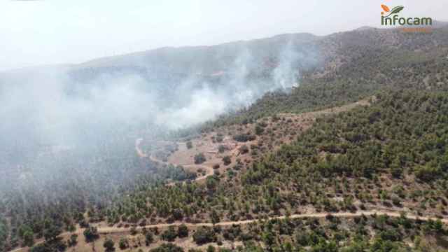 Imagen del incendio forestal en Peñas de San Pedro