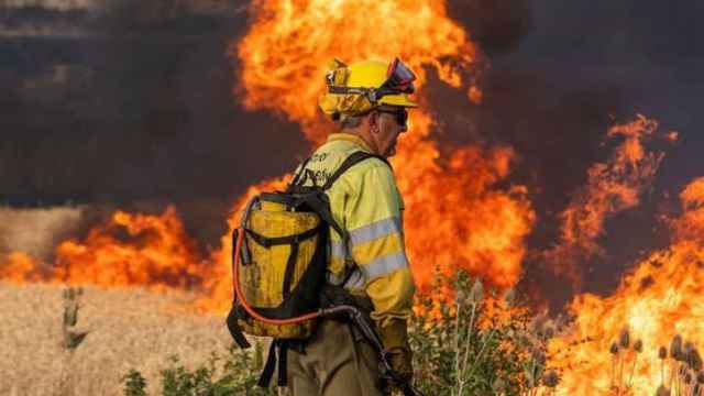 Un bombero forestal en un incendio de Burgos