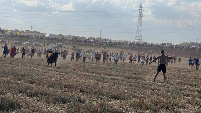 Imagen de los encierros en el paraje de El Moral, en Fontanar. Ayuntamiento de Fontanar