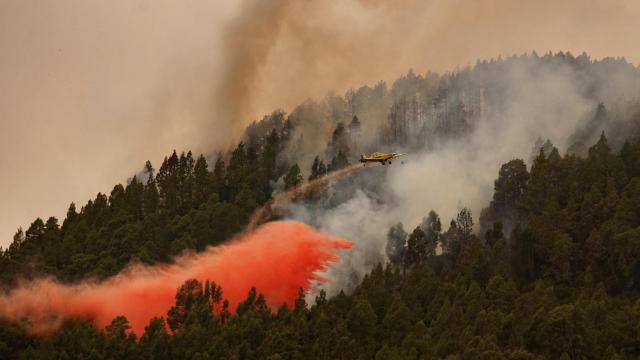 Zonas afectadas por el incendio en Tenerife: el desglose de la devastación