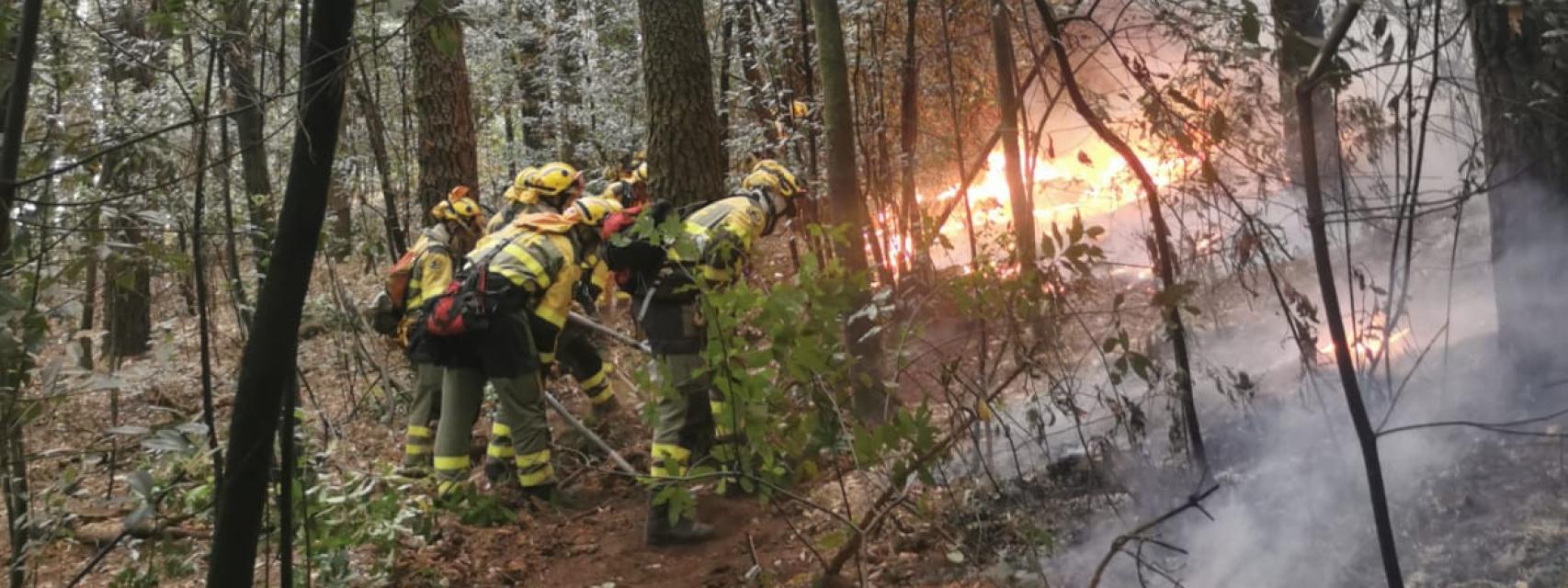 Los bomberos de la BRIF trabajan en uno de los frentes