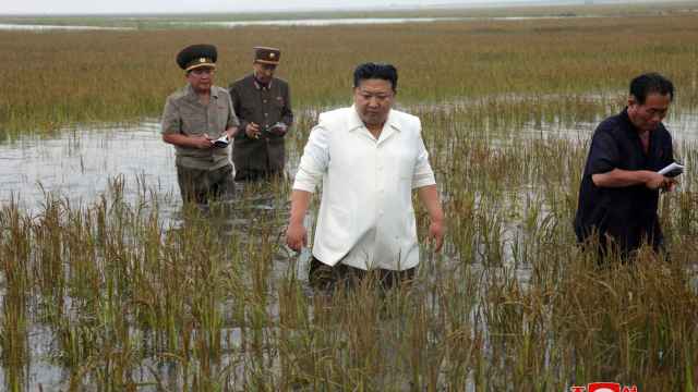 El líder supremo de Corea del Norte, Kim Jong Un, pasea por unos campos de arroz
