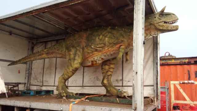 Imagen del dinosaurio comprado cuando llega a su domicilio.