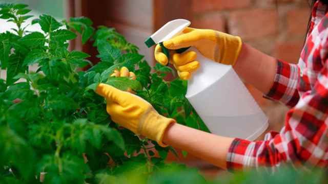 Protege tu jardín con este insecticida 3 en 1 ¡que ahora cuesta menos de 10€ en Leroy Merlin!