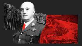 Francisco Franco quiso plantar 10 millones de eucaliptos en Doñana con fines económicos.