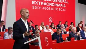 Luis Rubiales, presidente de la RFEF.