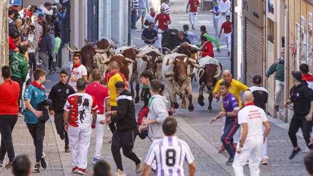 La villa de Cuéllar celebra el cuarto encierro, declarados Fiesta de Interés Turístico Internacional, con toros de la ganadería de Valdemoro